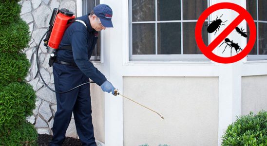 Erciş Fare İlaçlama böcek ilaçlama ve haşere kontrolü — ilaclama-tr.com
